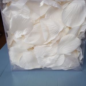 Wedding White Rose Petals
